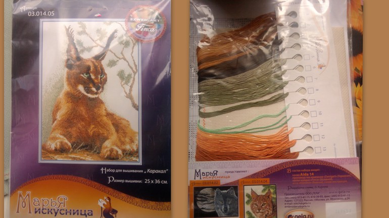 Мой хома в коме!!!!