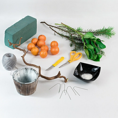 мандариновое дерево