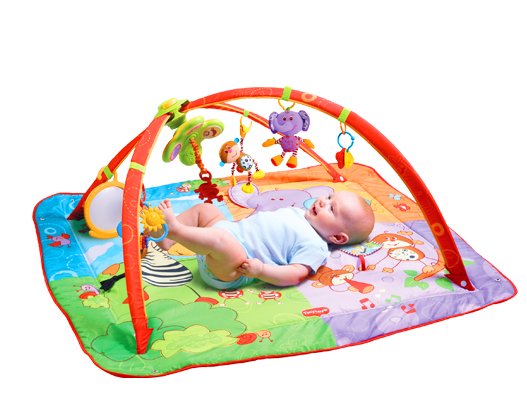 помогите выбрать коврик развивающий