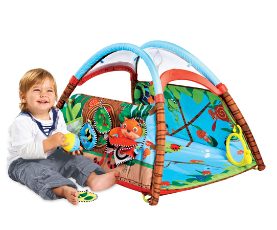 помогите выбрать коврик развивающий