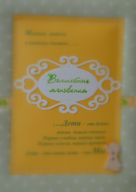 Записная книжка  молодой  мамы...