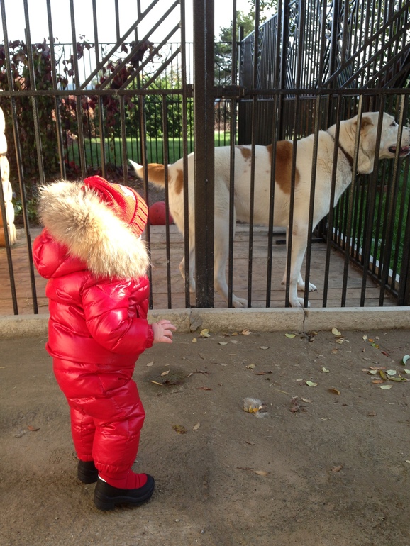 Осенний день. Мороз и солнце.