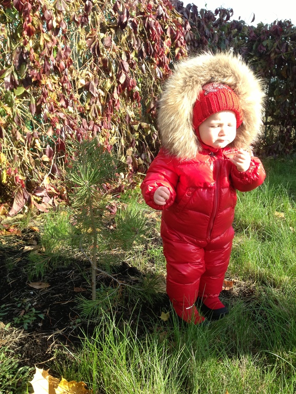 Осенний день. Мороз и солнце.