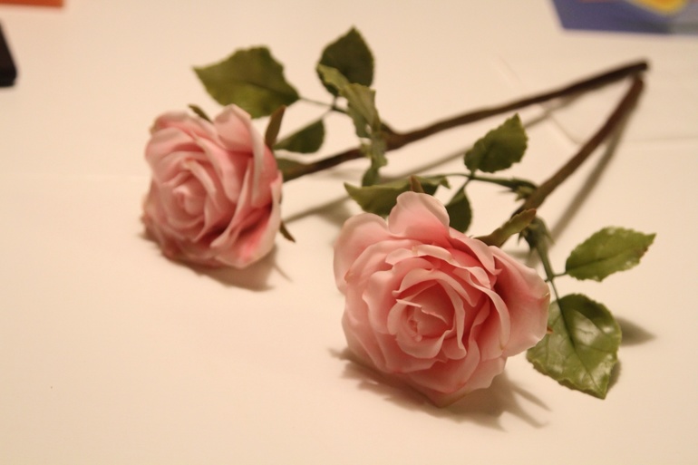 Как прошел МК