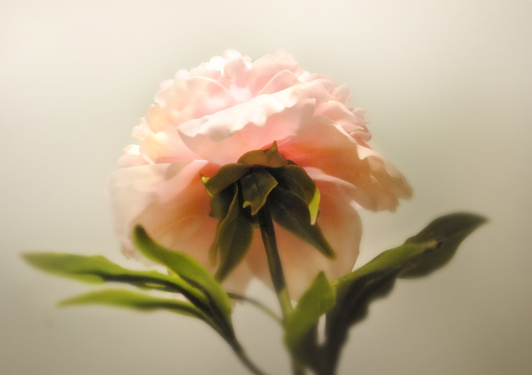 9a43176b7c0ff1f2cecc56e395c00e0d.jpg