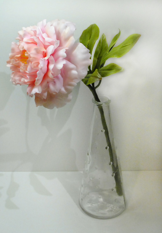 d754d0db1f1bd3adddeb4d2bc5bc894c.jpg