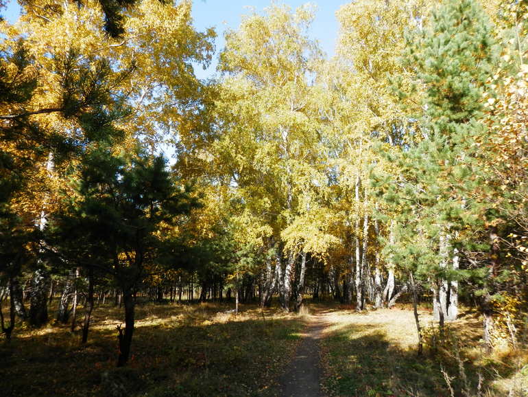 Золотая осень