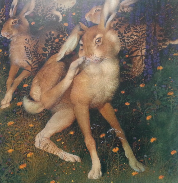 Про кроликов и зайцев.