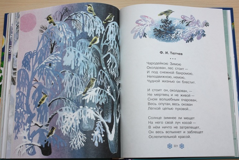 В лесу родилась елочка ))