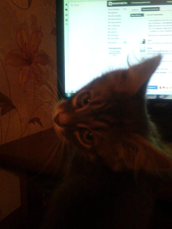 Мой Филька)