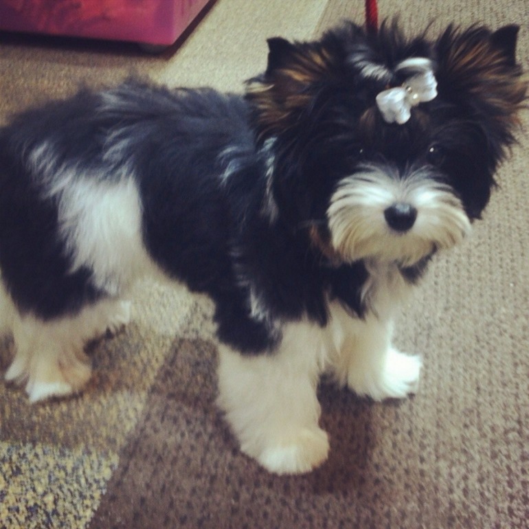 Моя любимочка