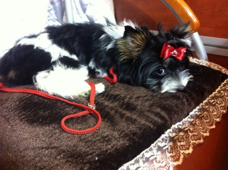 Моя любимочка