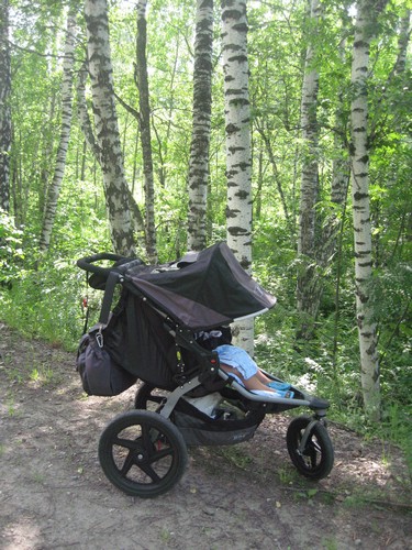 Наш Bob Revolution SE лето..осень ..ждем зиму ))