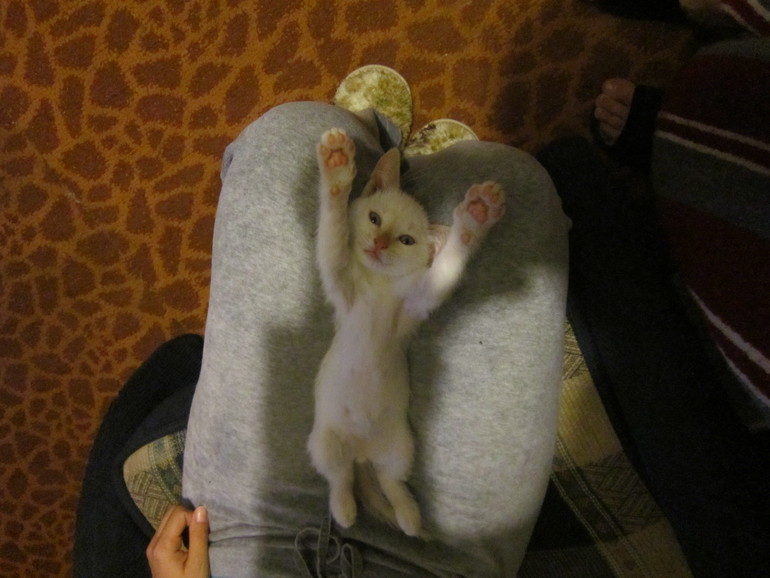 Наш выбражалка. Только фото.Много фото.