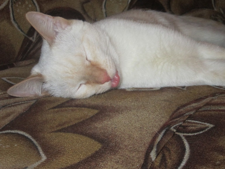 Наш выбражалка. Только фото.Много фото.