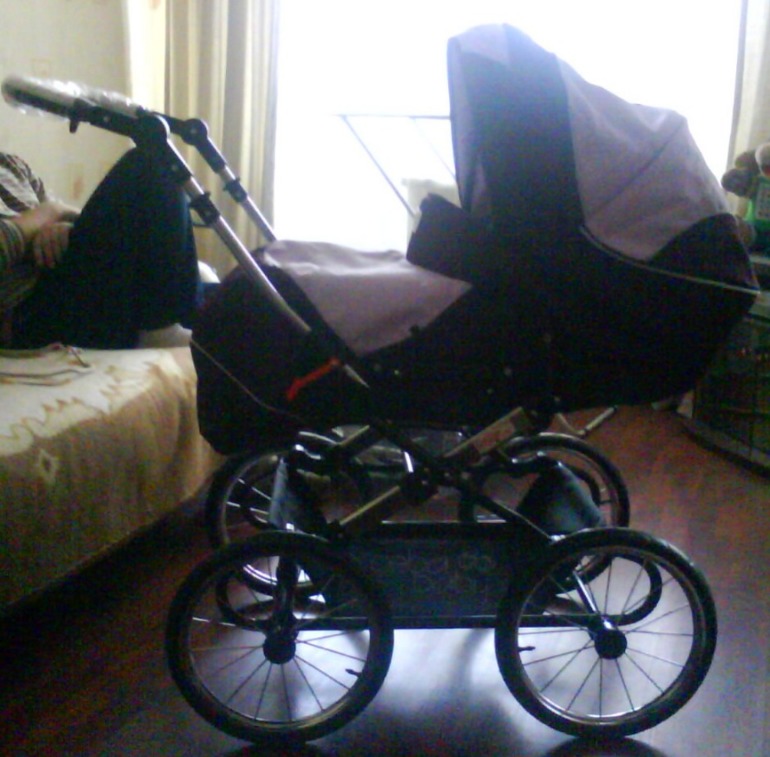 красавица Ceba