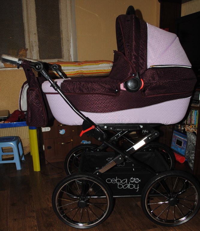 красавица Ceba