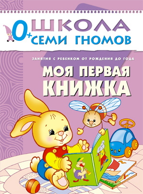 Обзор Настениной Библиотеки