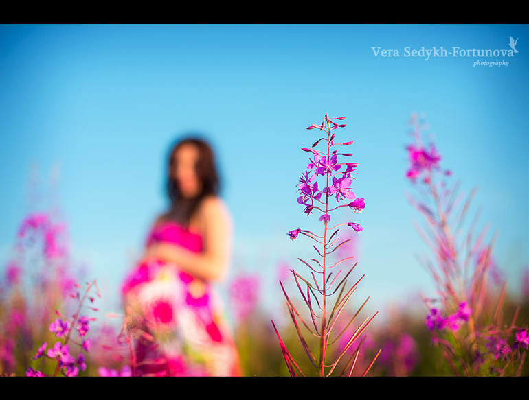 Waiting for the Miracle