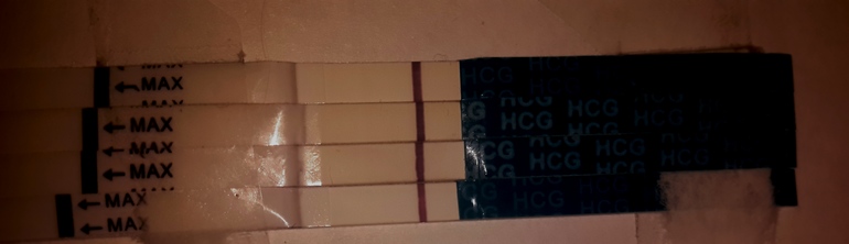 c808ef548d349f365e6b46005451cfea.jpg