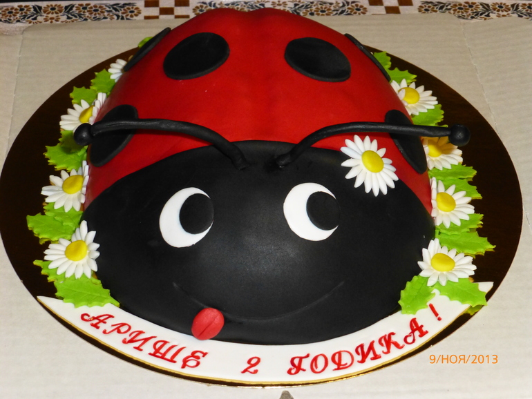 Божья коровка  !