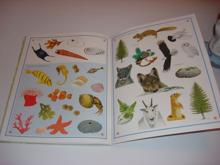 Подарочный фонд. Часть 7. Книжки с наклейками на 3 годика.