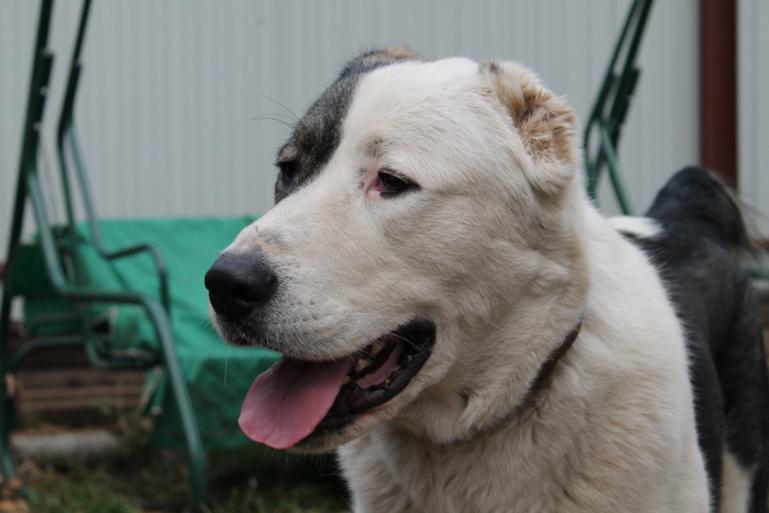 Малышу 1 годик и 10 месяцев=)Растёмс.....