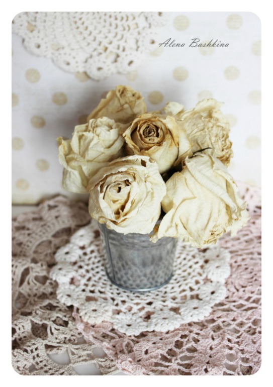 Мишка Маргоша