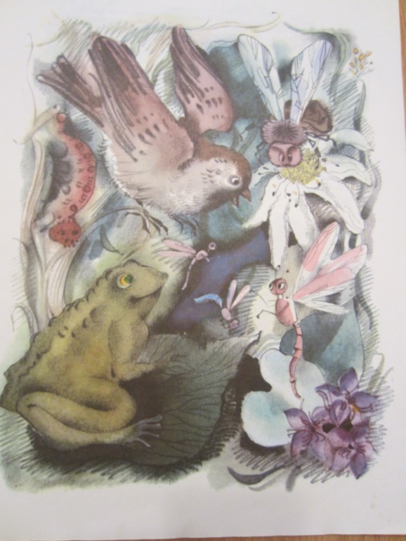 Наша букинистика. Продолжение.