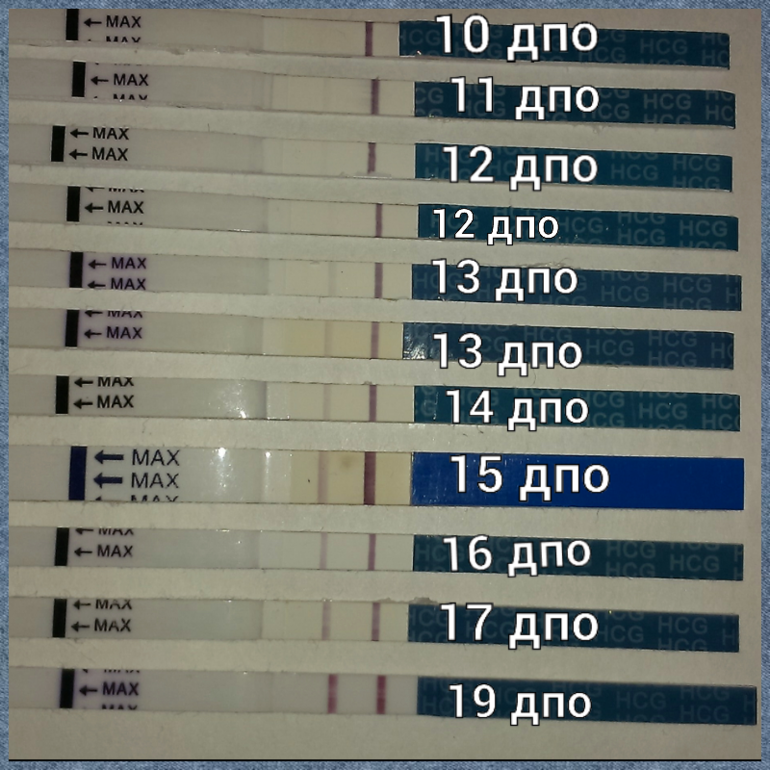 Дпо по дням. Тест на беременность Evitest ХГЧ. Тест на беременность 12 ДПО эвитест. Эвитест динамика ХГЧ. Тест полоски по ДПО С 8 ДПО.