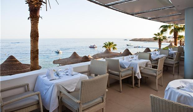 Подборка лучших туров 8 ноября. Израиль, Египет.