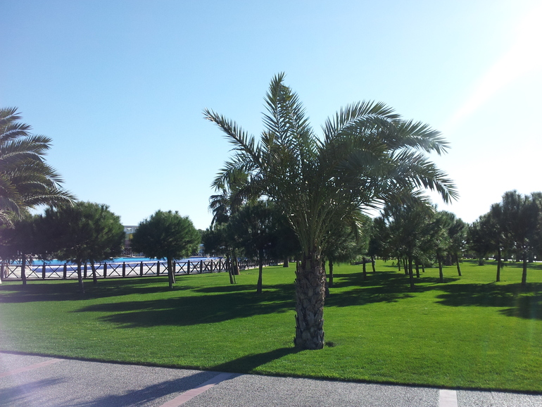 Турецкие каникулы. Воспоминания перед новыми.