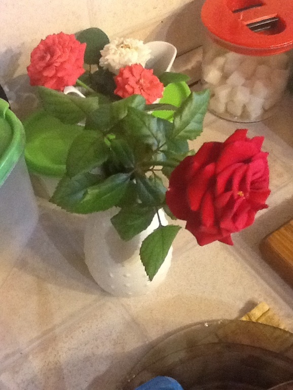 мои цветочки украшают кухню