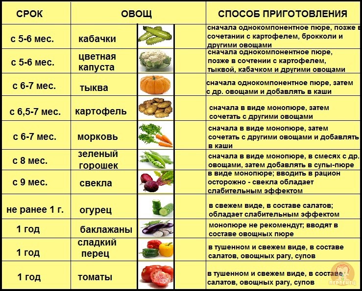 Что такое прикорм? И как его организовать?