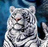 Начало розыгрыша)))