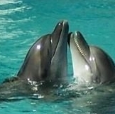 АПРЕЛЬские экошечки! Поддержите друг друга!