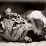 Выпускницы МАЯ!!!