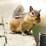 Главный пост Мамулечка- Красотулечка))