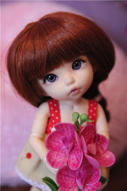 Куклы  BJD