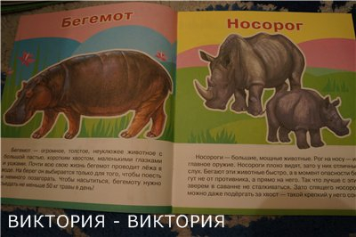 Мини-энциклопедии 2