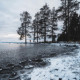 Дарья