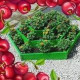 ГРЯДКИ ПОЛЕВСКОЙ