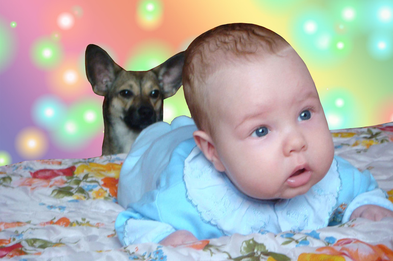 Ладная собака :)