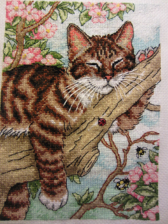 Спящий котенок на дереве