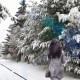 Настя