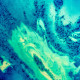 Дарья Логинова