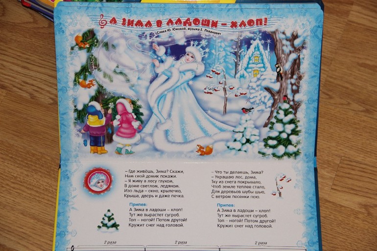 Новогодние музыкальные книги