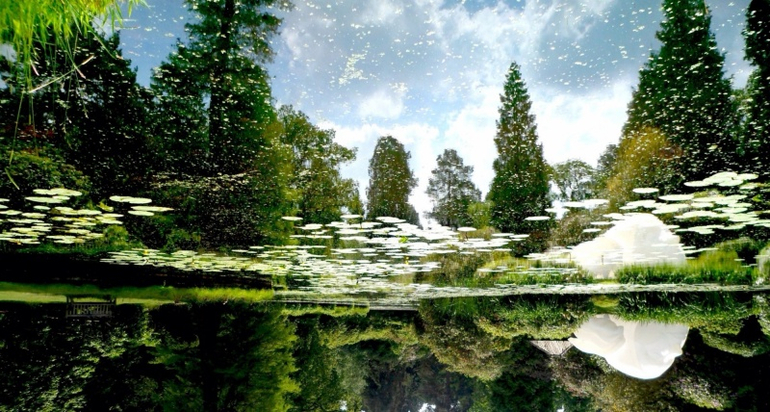 Лучшие фотографии марта