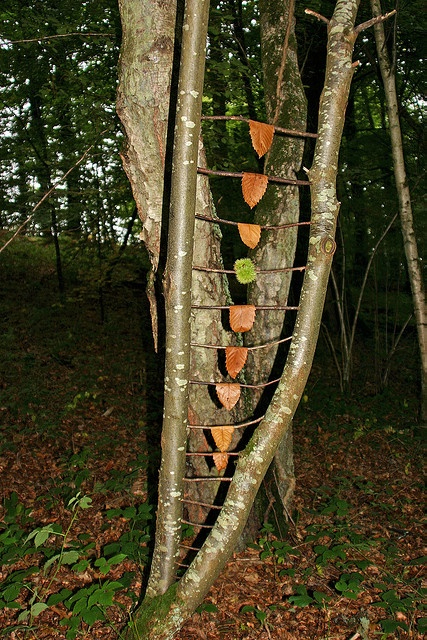 Land Art