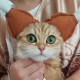 Ольга